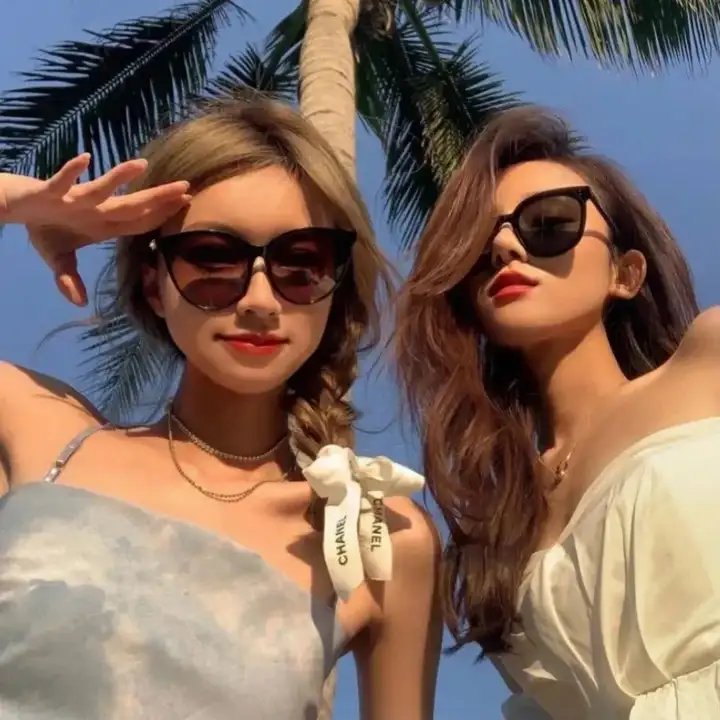 佛兰德斯的狗